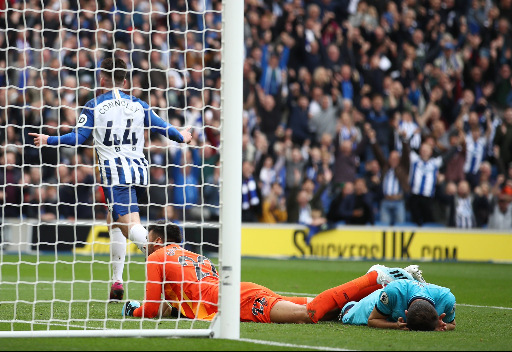 网球名将费 网球名将费